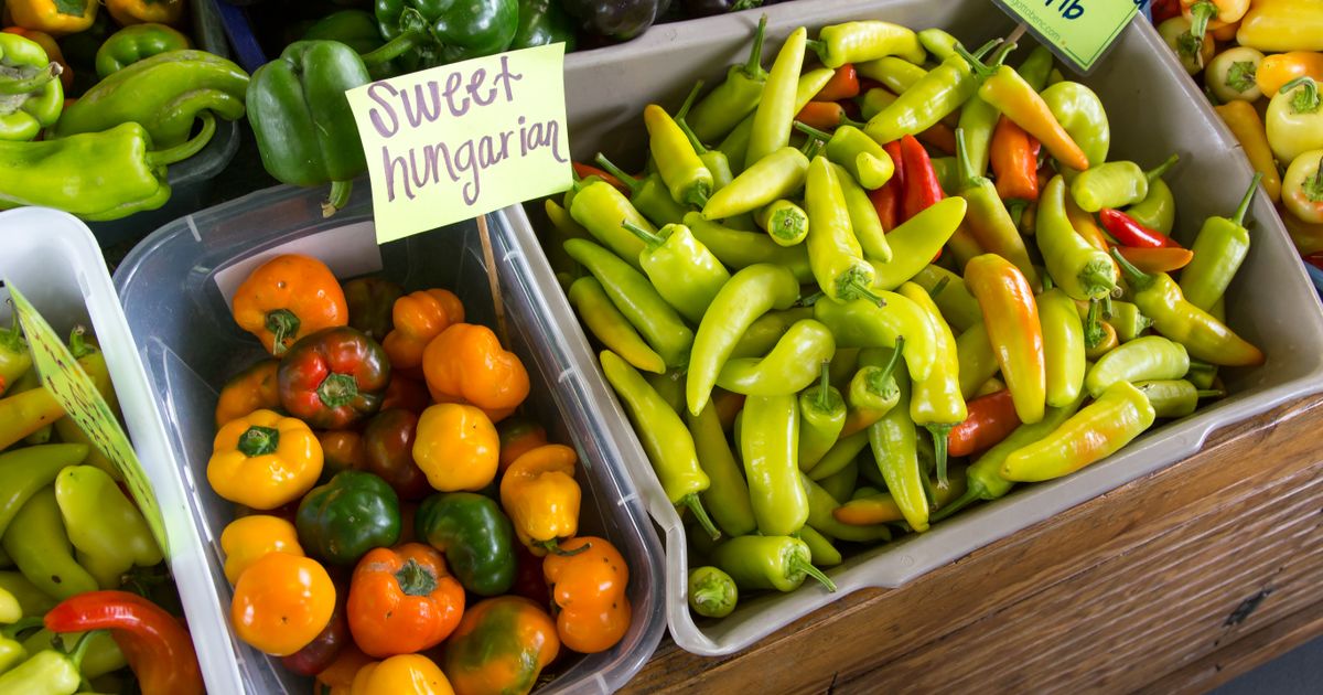 Vibrant display of peppers at a farmer's market showing sweet Hungarian and banana peppers.