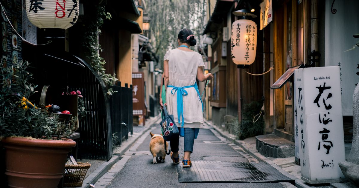 An Asian woman walks her dog through a traditional Kyoto alley, surrounded by lanterns and wooden houses.