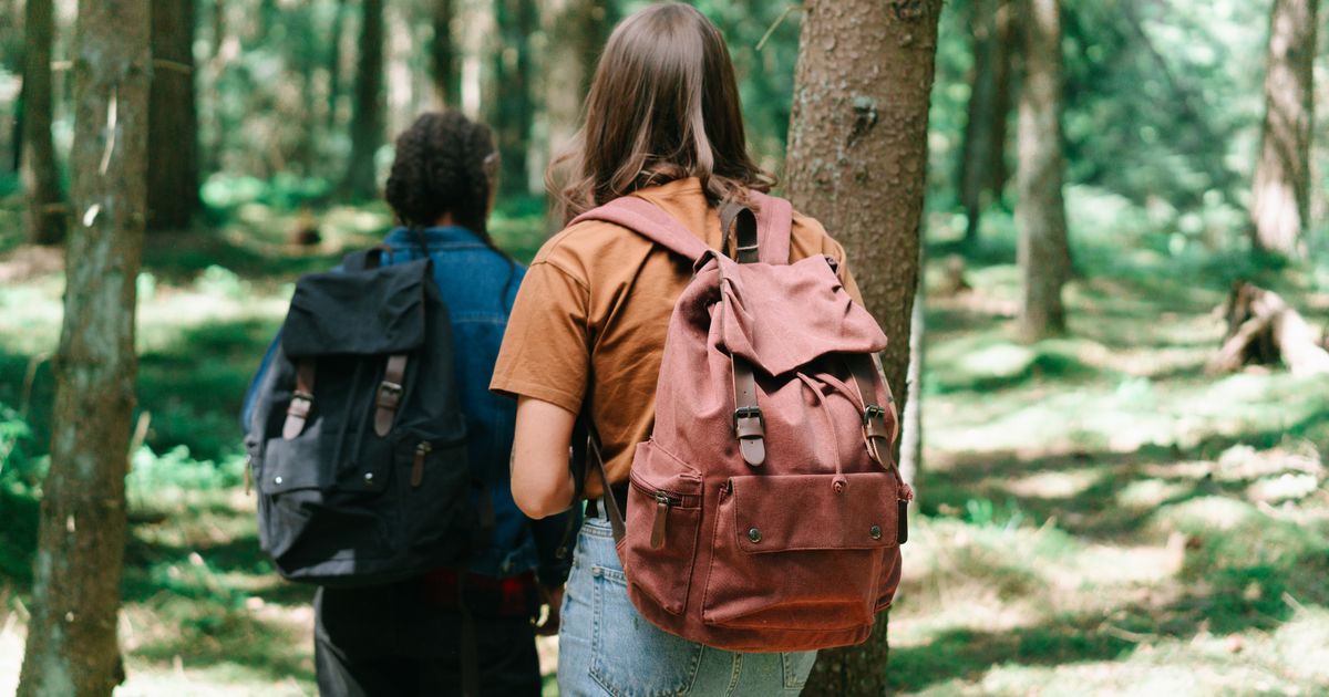 Two hikers with backpacks explore a dense forest path, surrounded by tall trees and greenery.